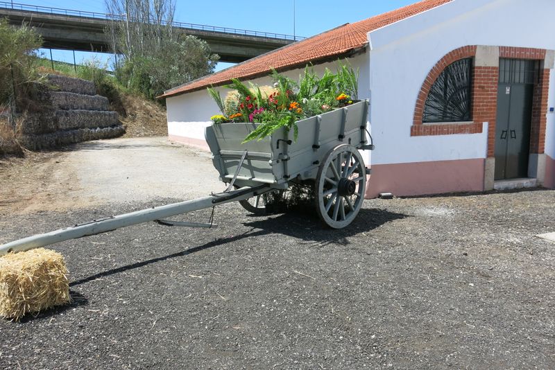 Centenario