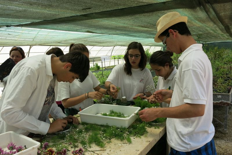 DiaDaEscola