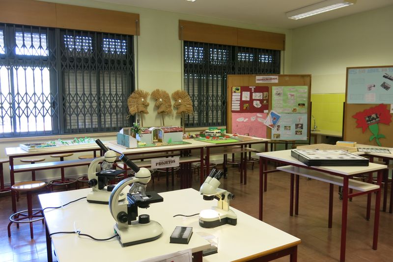 DiaDaEscola