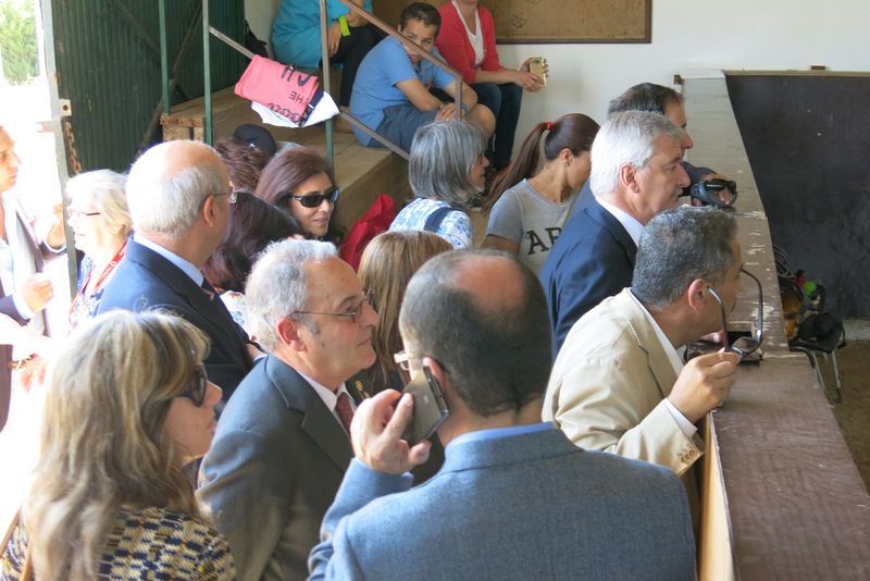 DiaDaEscola