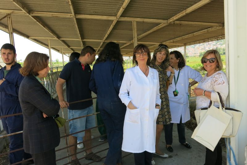 DiaDaEscola