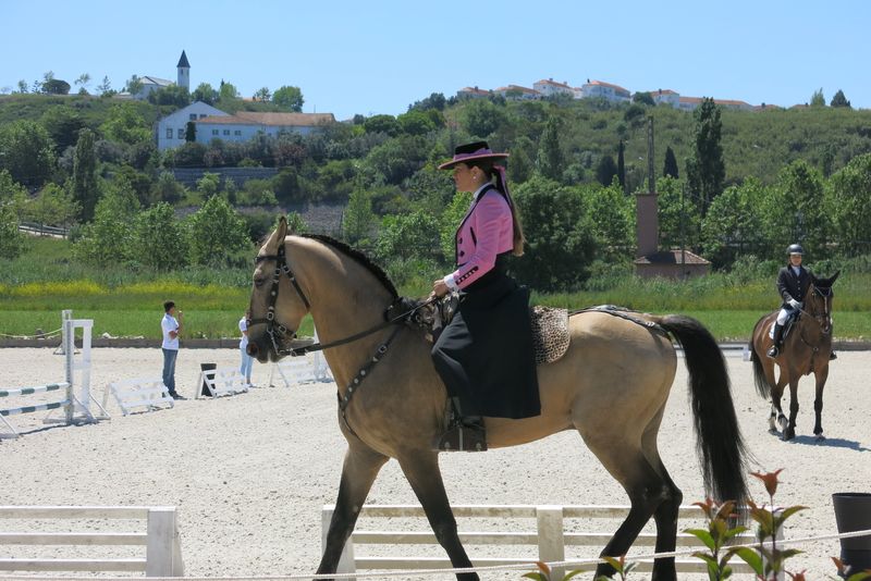 DiaDaEscola