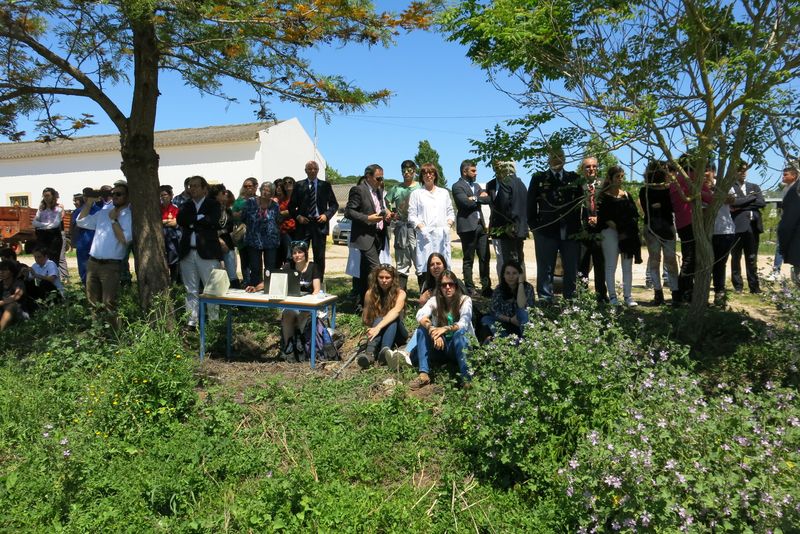 DiaDaEscola