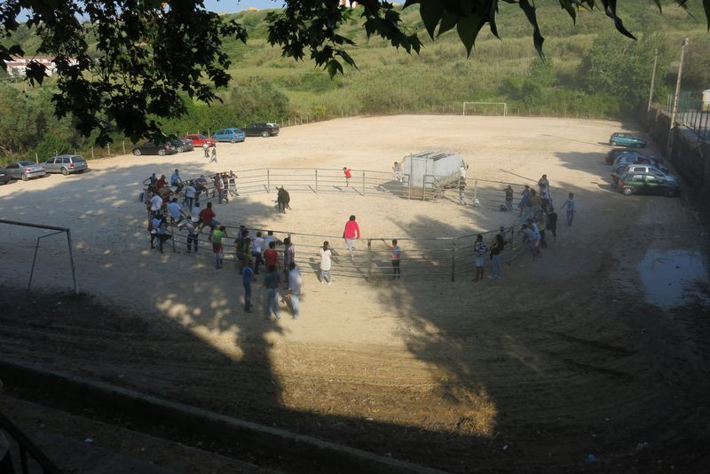 CidadaniaCultura