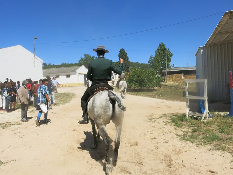 20170520 DiaDaEscola 53