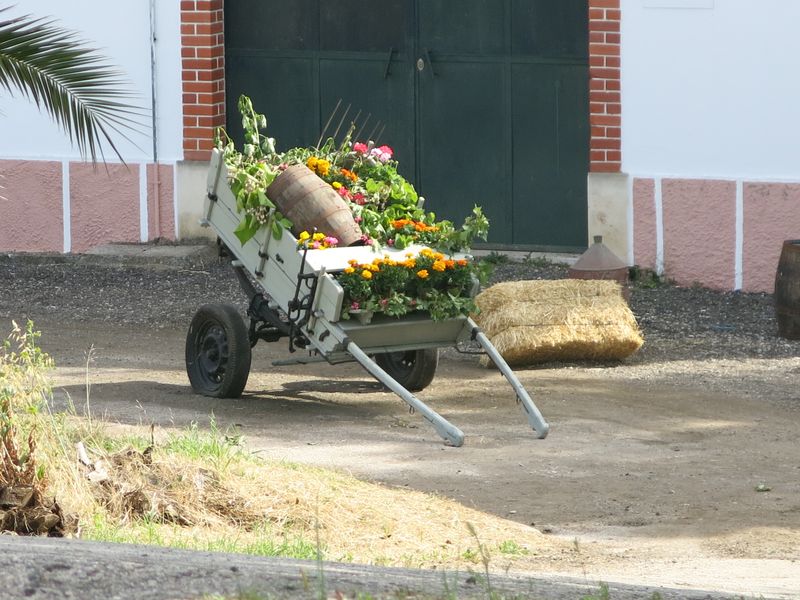 20170520 DiaDaEscola Jantar 6