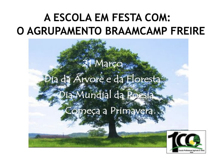 Dia da arvore